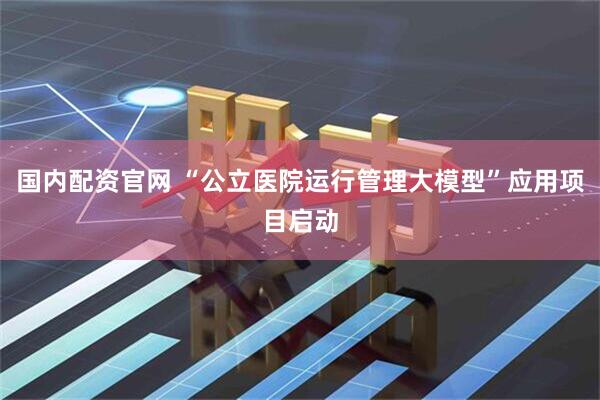 国内配资官网 “公立医院运行管理大模型”应用项目启动