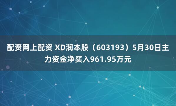 配资网上配资 XD润本股（603193）5月30日主力资金净买入961.95万元