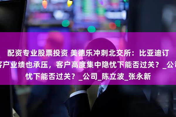 配资专业股票投资 美德乐冲刺北交所：比亚迪订单骤降，第一大客户业绩也承压，客户高度集中隐忧下能否过关？_公司_陈立波_张永新